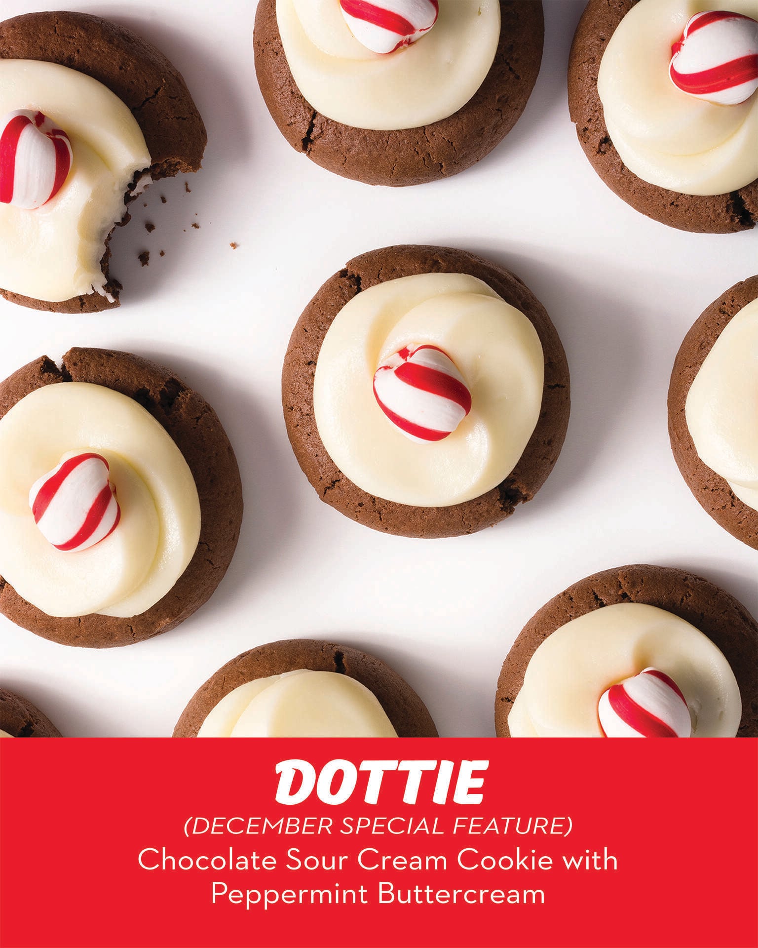 RubySnap Dottie cookie. Cakey chocolate sour cream cookie topped with a peppermint buttercream.